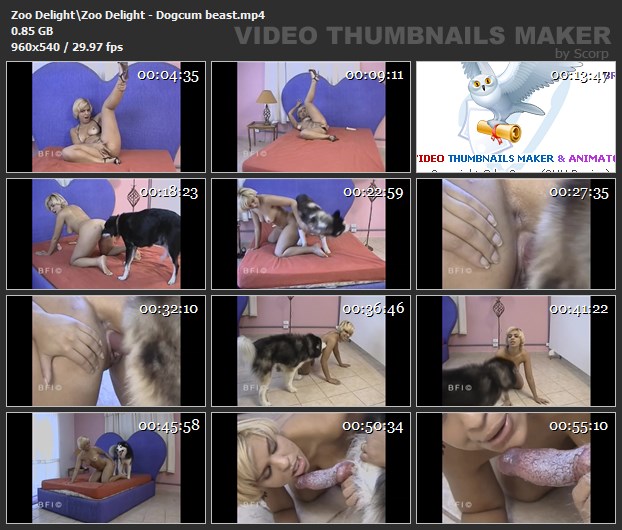 cachorro gozando fodas com animais pinto de cavalo cavalo de pau duro cachorro comendo buceta Vídeos porno de zoofilia con perros y caballos que follan a las chicas zoofílicas melhores filmes de bestialidade de todos os tempos